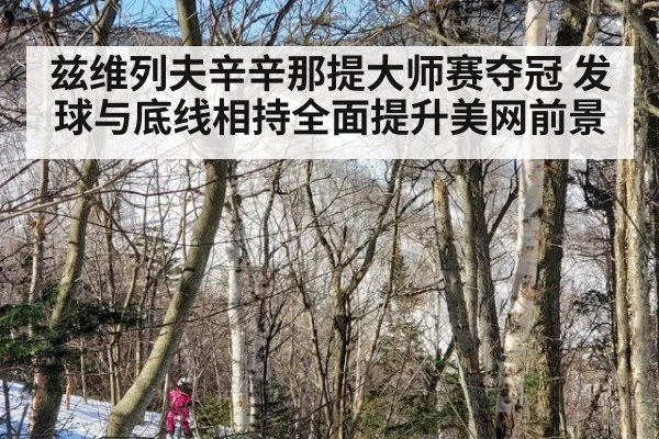 兹维列夫辛辛那提大师赛夺冠 发球与底线相持全面提升美网前景